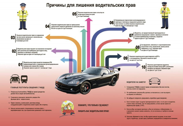 Почему в России лишают водительских прав?