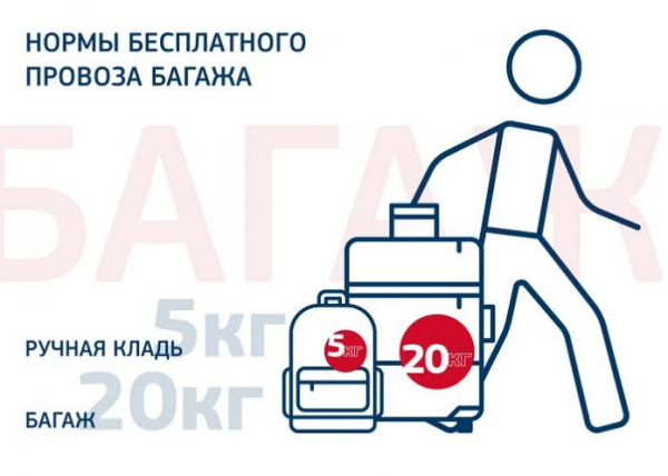 Нормы бесплатного провоза багажа и ручной клади в самолете