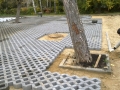Газонная георешетка для бетонного паркинга